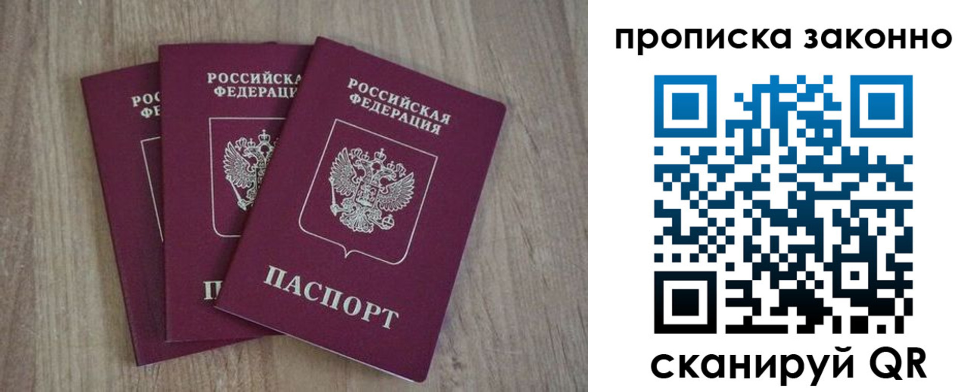 прописка в Димитровграде